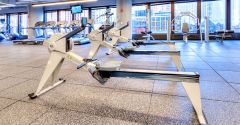 rowing machines 1.jpg